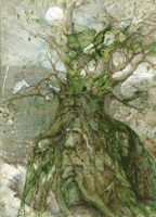 Мудрость старого дерева (М. Саломахина)